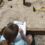 Taller familiar d’arqueologia al CIARGA